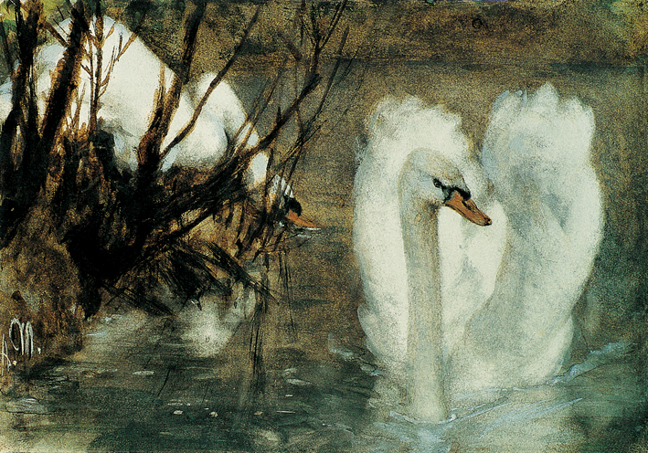  Adolpyh Von Menzel —— 两只天鹅